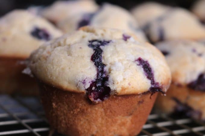 A close up shot of multiple blueberry muffins sitting on a cooling rack. 