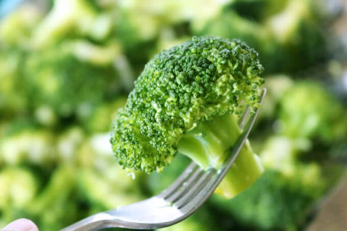 A close up shot of a piece of steamed broccoli on a silver fork being held over more broccoli. 