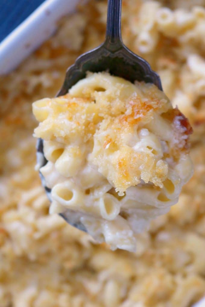 An overhead shot of a spoonful of Southern Macaroni and Cheese being held over a baking dish of this delicious side dish. 