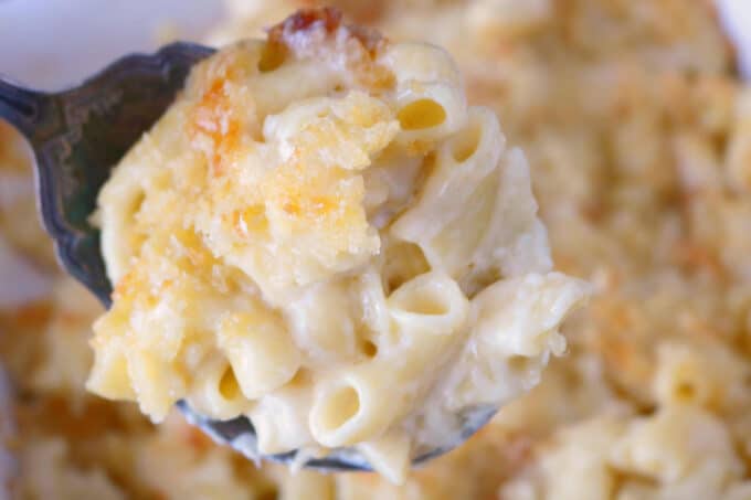 A spoonful of Southern Macaroni and Cheese being held over a full baking dish of this delicious side. 