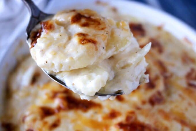 A side view of a spoonful of creamy scalloped potatoes that is being held over the cooked recipe. 
