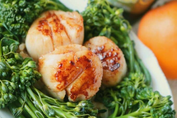 Three seared scallops grouped together surrounded by broccolini on a white plate. 