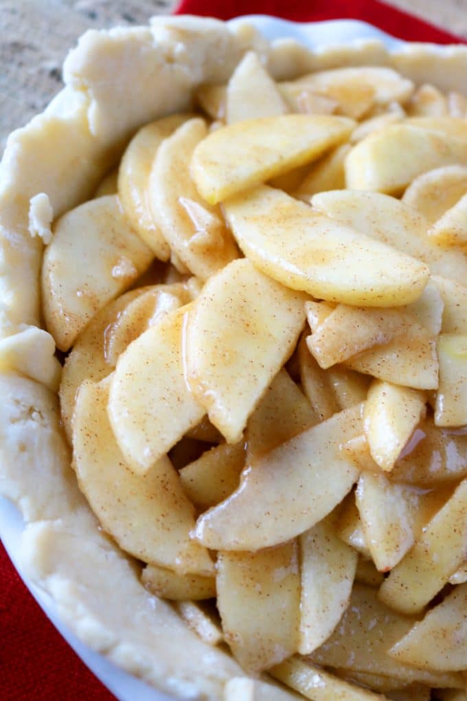 Easy Homemade Apple Pie Recipe from Scratch - The Anthony ...