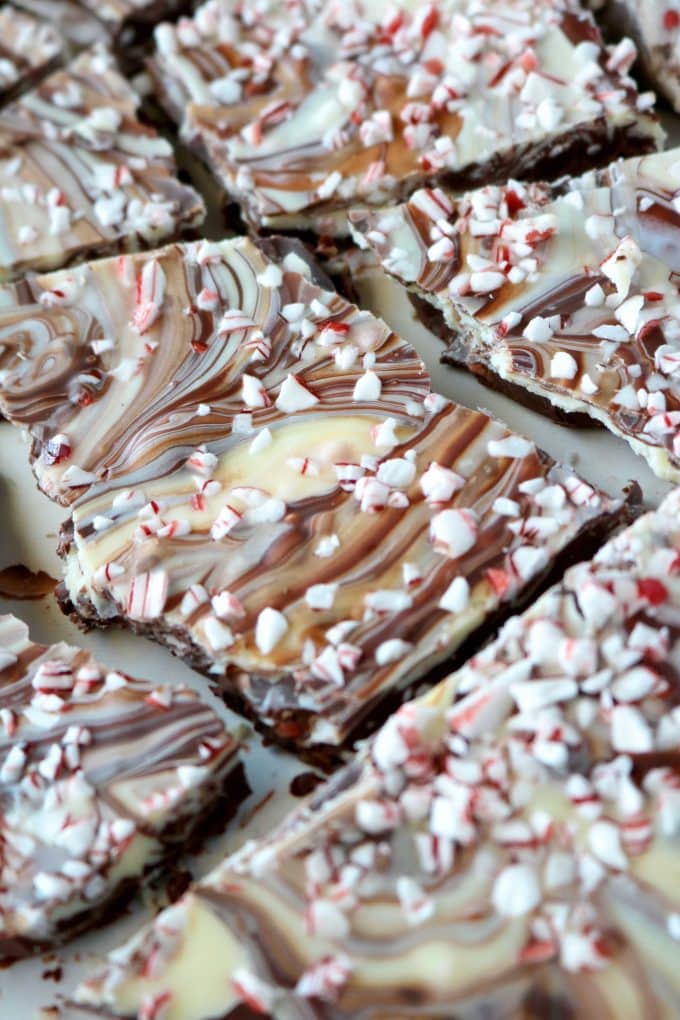 A close up shot of chocolate Peppermint Bark that is broken into bite size pieces. 