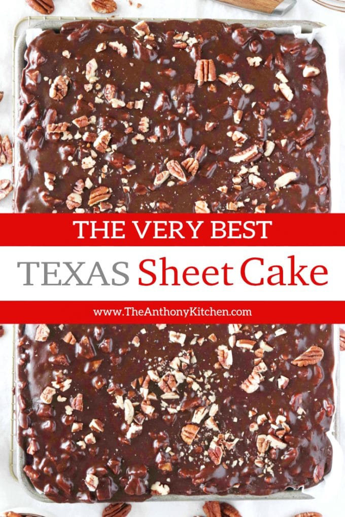 The Best Easy Texas Sheet Cake Recipe with Buttermilk and Fudgy Frosting