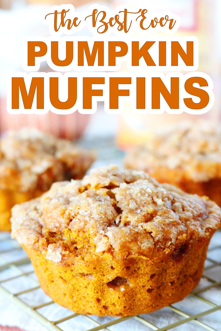 Easy Pumpkin Muffin Recipe