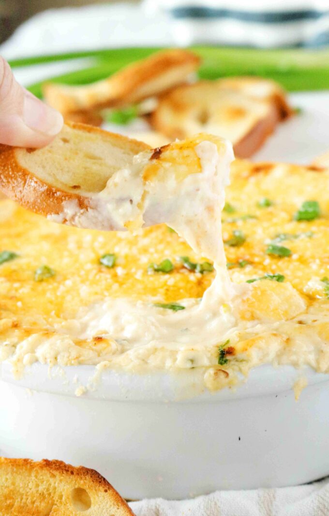 A hand holding a toasted baguette dipping in the hot crab dip with cream cheese. 