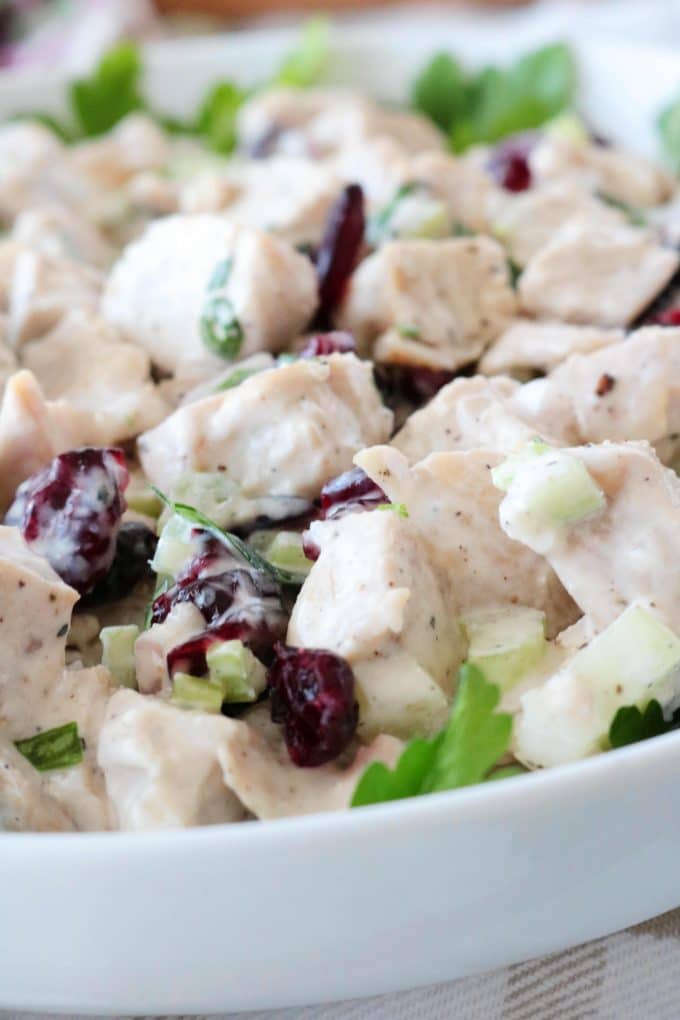 A close up of Turkey Salad with cranberries. 