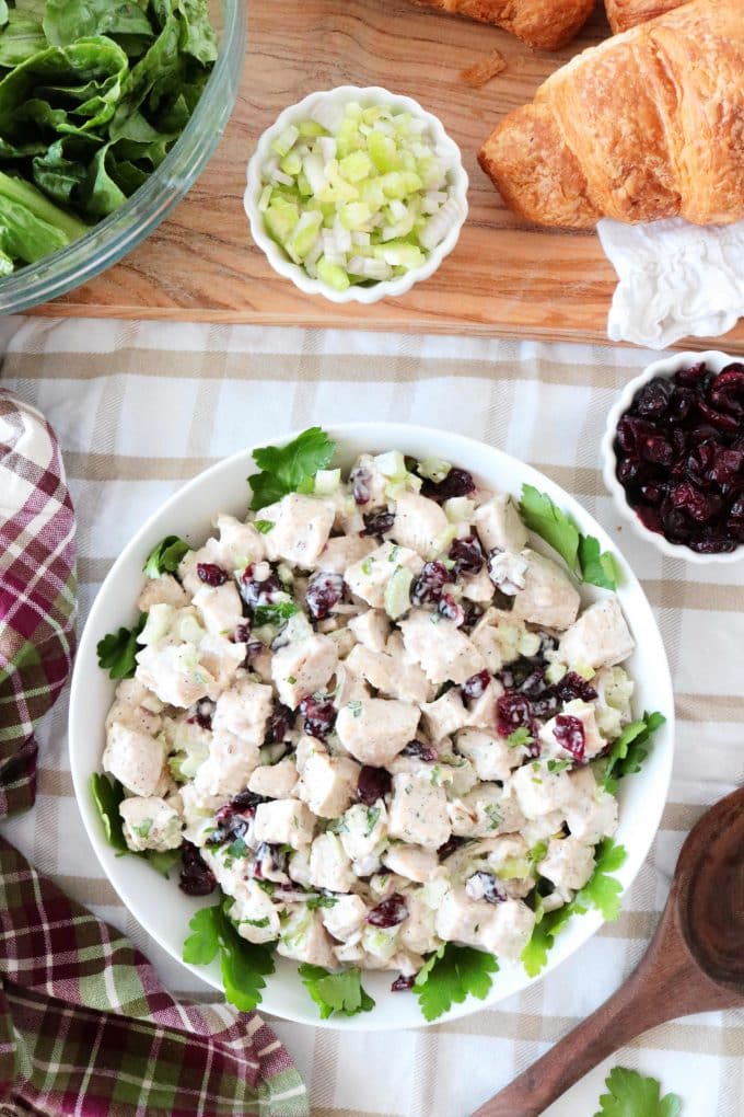 An overhead shot of Turkey Salad with Cranberries served in a white bowl. 