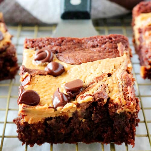 A peanut butter brownie on a cookie spatula topped with chocolate chips.