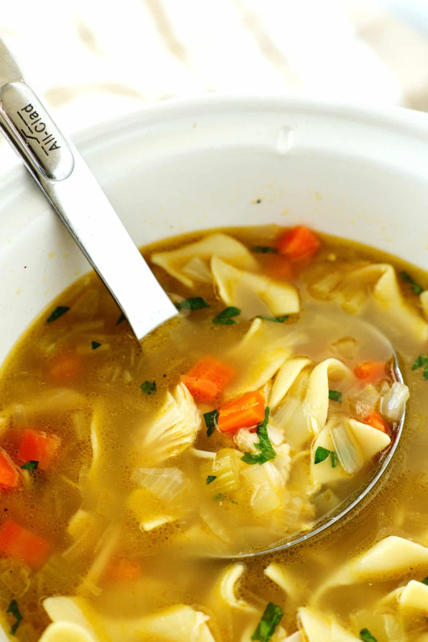 CrockPot Chicken Noodle Soup Recipe The Anthony Kitchen