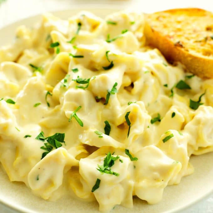 Tortellini Alfredo on a white plate with garlic bread on the side.