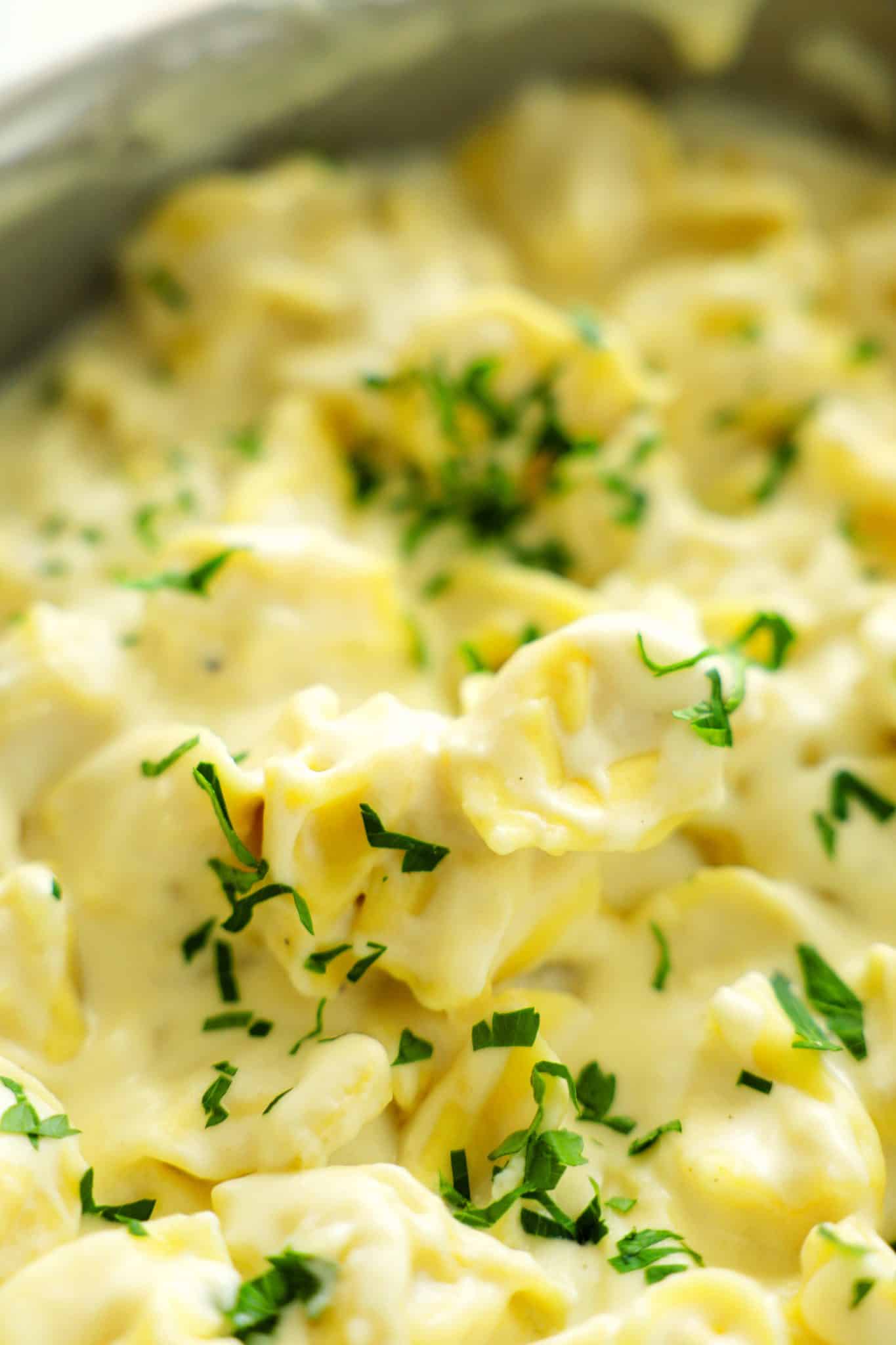 Tortellini Alfredo 20Minute Dinner Recipe The Anthony Kitchen