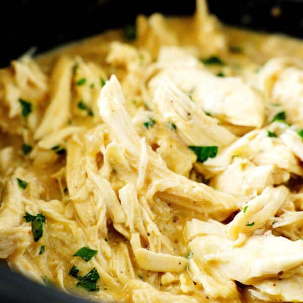 Close up of shredded chicken and gravy