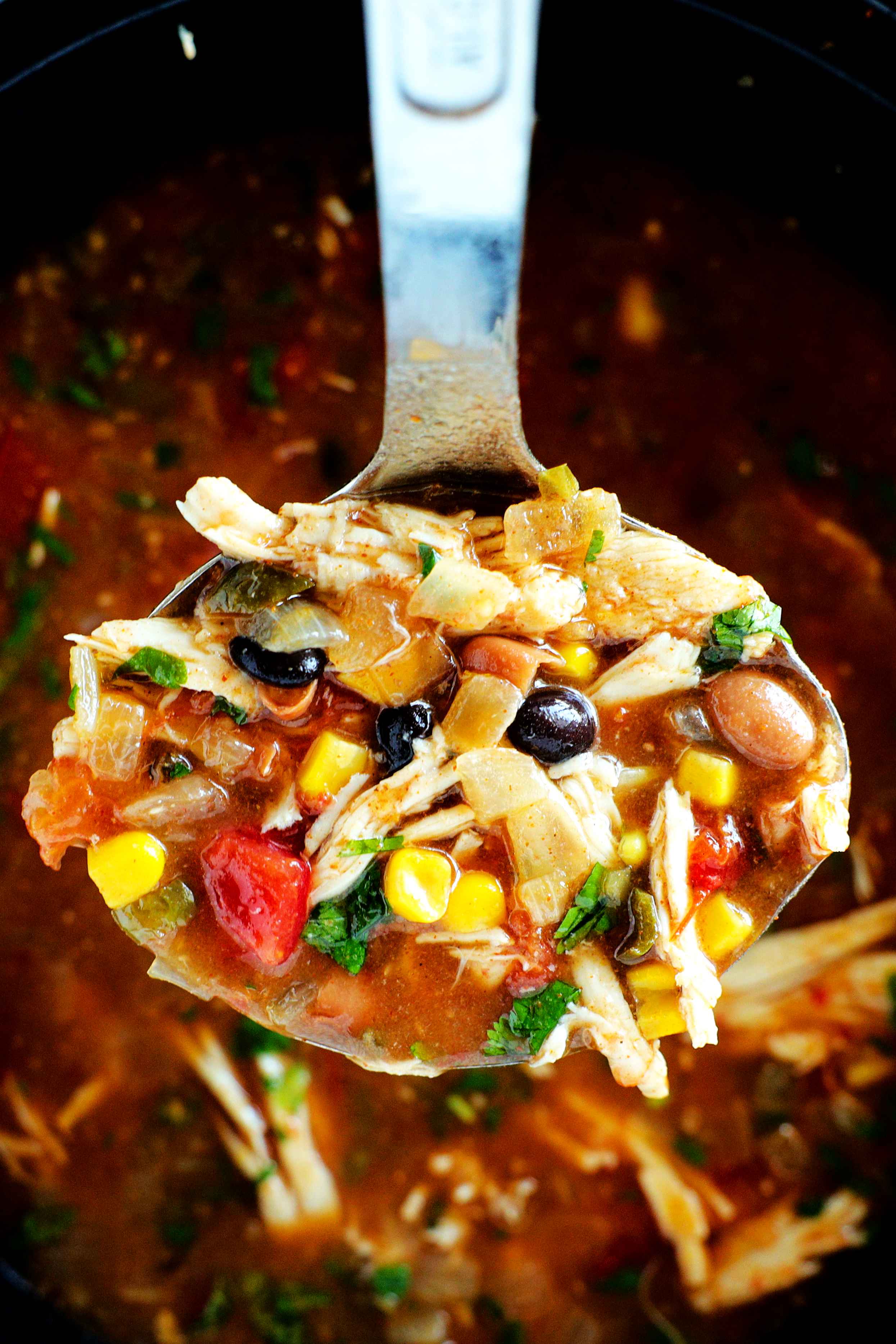 spoonful of chicken taco soup
