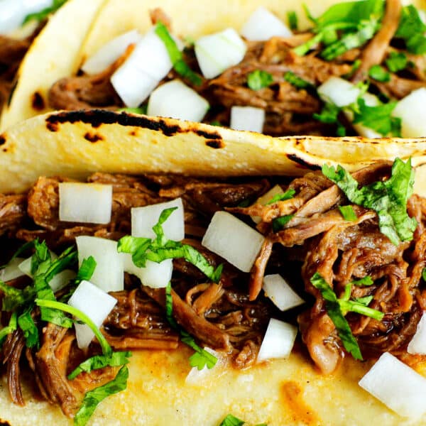 Overhead view of tacos de barbacoa with chopped onions and cilantro on top
