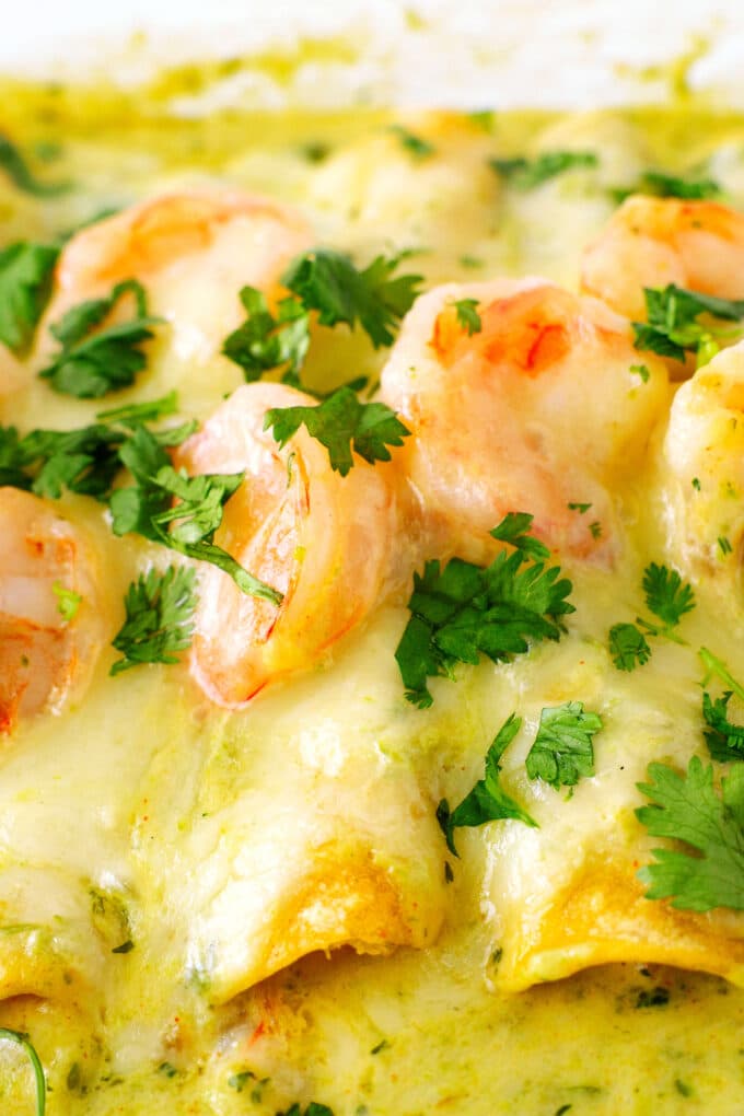 Shrimp enchiladas, still in the baking dish, with melty cheese, green sauce, and shrimp on top, with a cilantro garnish