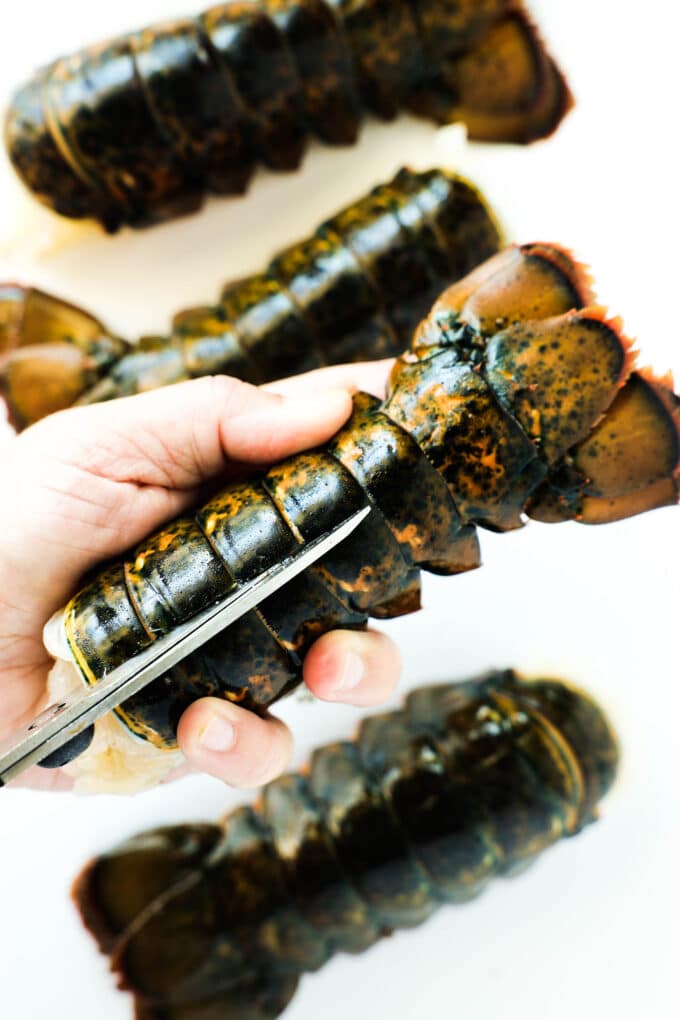 Kitchen shears being used to cut a line down the back of a lobster tail.