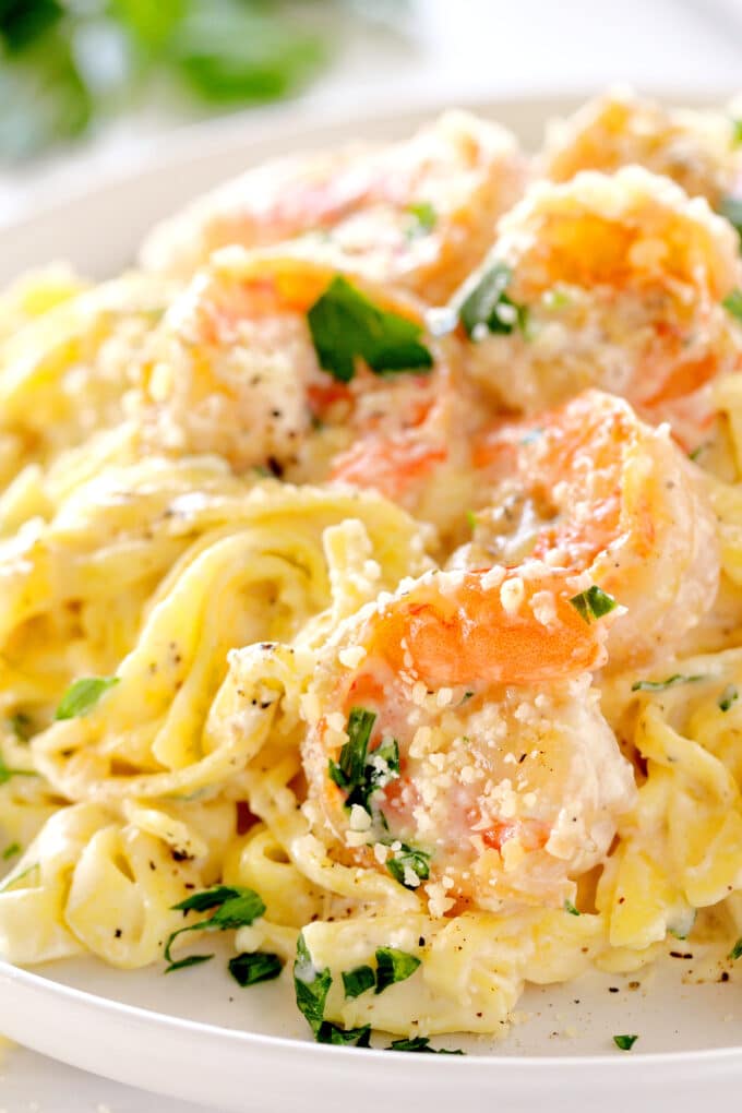 A close up of a plate of Shrimp Alfredo with parsley on top.