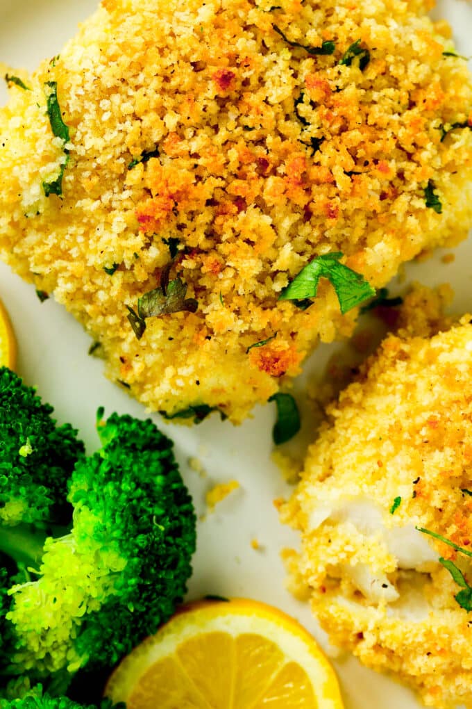An overhead look at two Baked Fish fillets on a plate with steamed broccoli and a slice of lemon. 