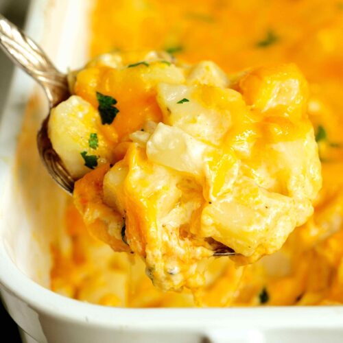 Spoonful of casserole.