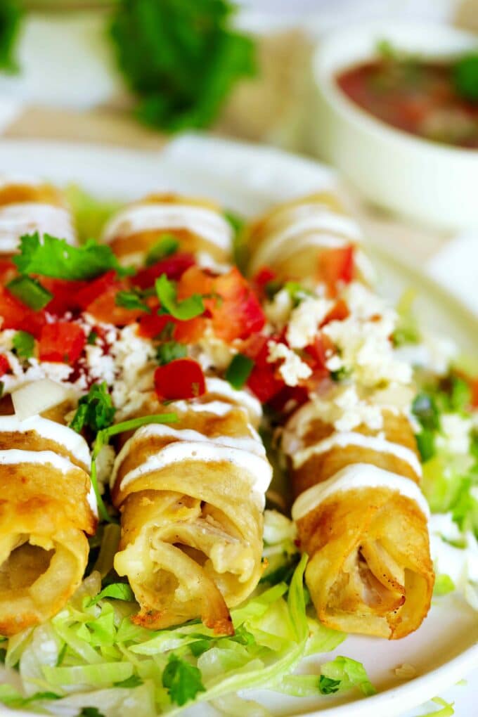 Three Flautas de Pollo with iceberg lettuce, sour cream, pico de gallo, and fresh cilantro