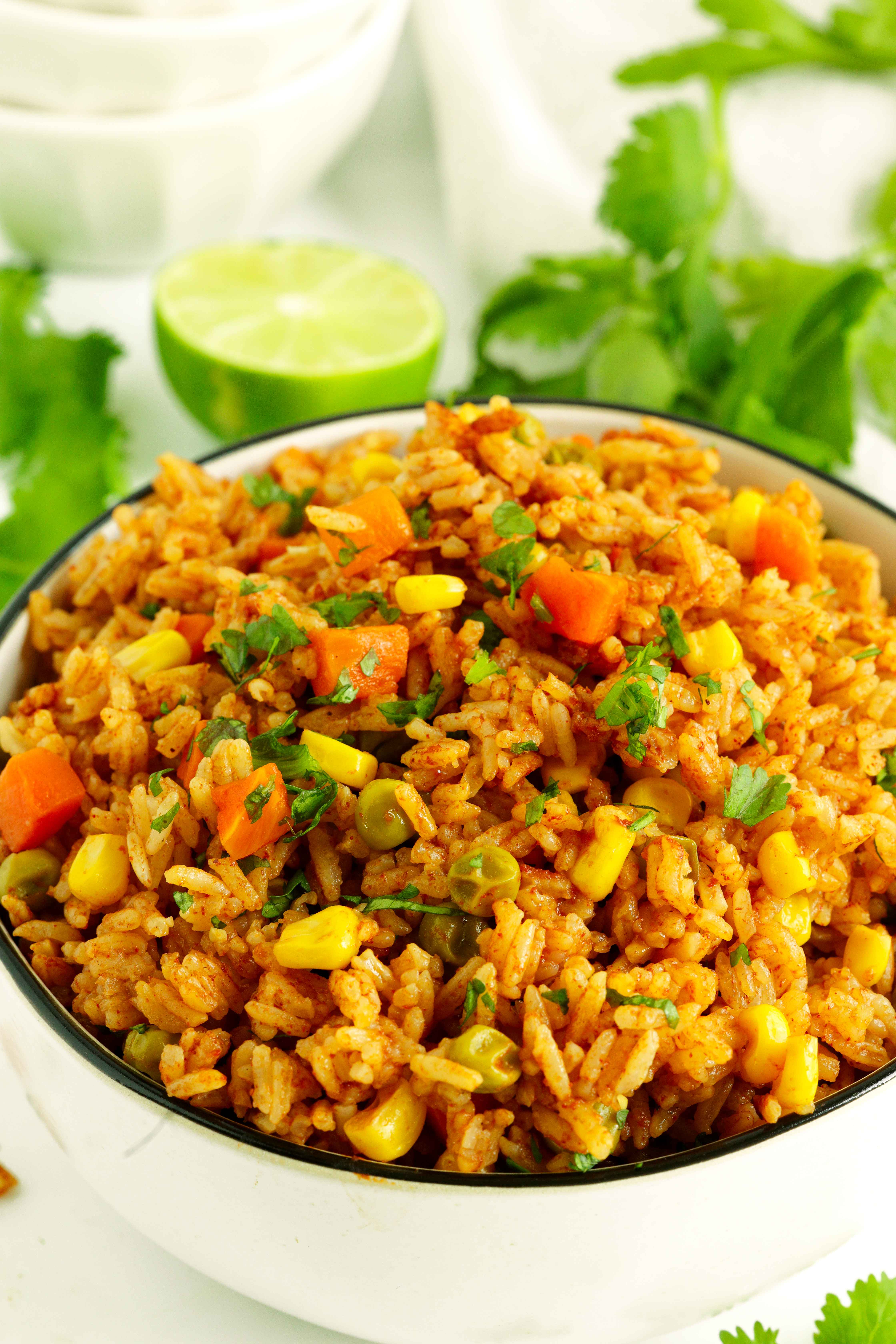 Close-up shot of Mexican Rice