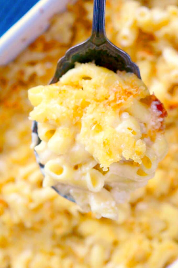 Spoonful of Southern macaroni and cheese casserole. Creamy elbows with golden, buttery panko topping lifted from a baking dish.